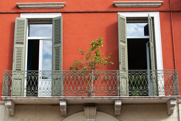 a tree on the balcony between the windows, Verona, Italy