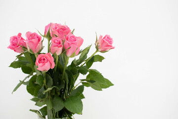 Fototapeta premium Pink bouquet of roses on a white background.
