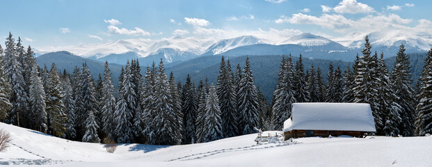 Small wooden house covered with fresh fallen snow surrounded with tall pine trees in winter...