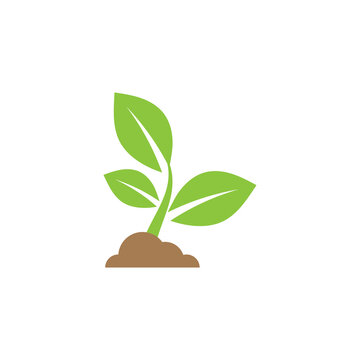 Sprout icon design illustration template
