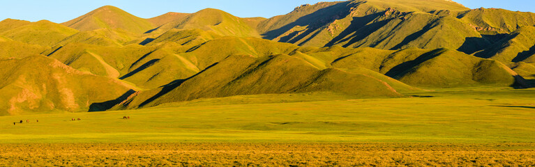 Fototapeta na wymiar Beautiful grassland and mountains in Xinjiang at dusk.