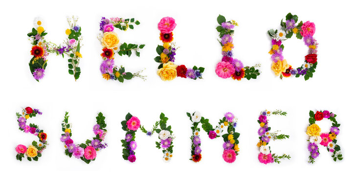 Hello Summer - June design font concept. Seasonal decorative beautiful type mades from multi-colored blooming flowers and grass. Natural summertime alphabet.