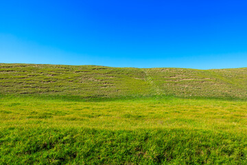 Fototapeta na wymiar Green grassland landscape in Xinjiang.