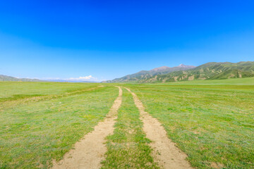 Road and green meadow with mountain natural landscape in Xinjiang.