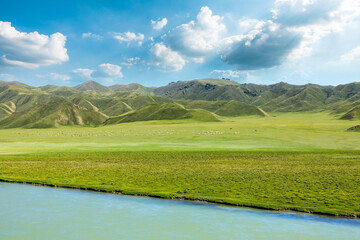 Obraz premium Grassland and river with mountain natural landscape in Xinjiang.