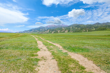 Fototapeta na wymiar Road and green meadow with mountain natural landscape in Xinjiang.