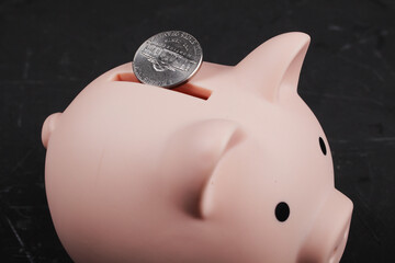 ten cents lies on a pink piggy bank, a pig, close-up