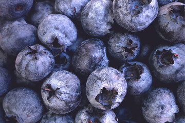 Blueberry close-up background.