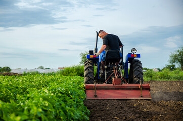 A farmer on a tractor removes the tops after harvesting. Development of agricultural economy....