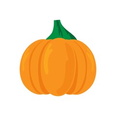 orange pumpkin isolated on a white background