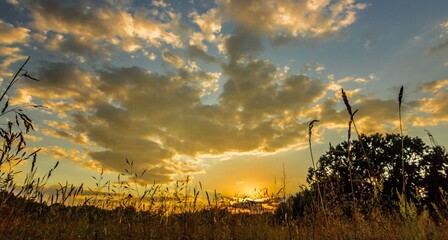 Zachód słońca na łące © Piotr