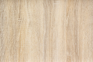Natural wood texture with Light wood texture background surface