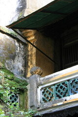 Tan Ky house in Hoi An (Vietnam)