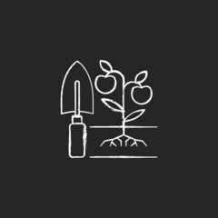 Cultivation chalk white icon on dark background. Soil preparation. Ground tillage. Growing plants and care. Cultivating ground with tools. Isolated vector chalkboard illustration on black