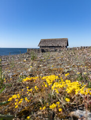 The island Öland, Kalmar Län Sweden © Migge GP