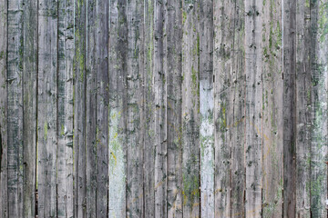 Background from old wooden boards