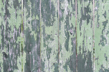 Green fence made of wooden boards