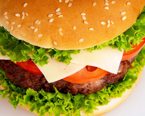 One tasty burger with cheese isolated on the white background