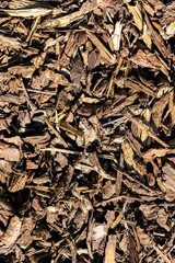 A texture portrait of some brown wood mulch or chips lying in a garden, perfect to keep weeds away and the garden clean around plants.