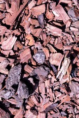 A texture portrait of red bark chippings lying in a garden. Perfect to cover the ground around plants so weeds can not grow around them and keep everything clean.