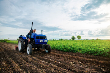 Obraz premium A farmer is cultivating a farm field. Seasonal worker. Recruiting workers with driving skills of agricultural machinery. Land cultivation. Farming. Small farms. Work in the agricultural industry.
