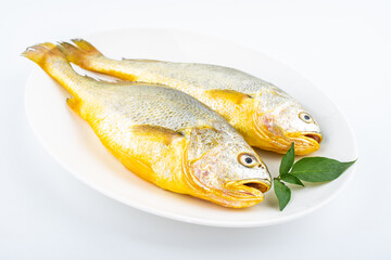 Fresh yellow croaker on white background