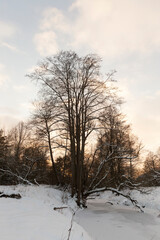 snow-covered river at sunset
