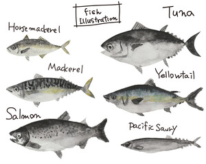 海の魚の手描き水彩イラストセット