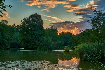 Summer Landscape.  Lake cove at dusk. Last sun rays. With lush vegetation. Water lilies,  grass and trees with reflections on the water surface. Beauty colorful sky. Dubnica, Slovakia.