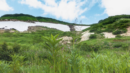 Lush grass and wildflowers grow on the hillside. Patches of melted snow are visible among the greenery. Blue sky with clouds. A sunny summer day. Kamchatka