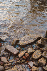 Saint Petersburg, Russia - August 1, 2021, Elagin Island, a park in Saint Petersburg, a beautiful reflection of the sky in a forest river.