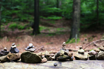 Piękny leśny widok na stosy kamieni.