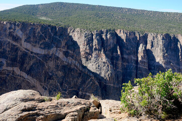 the black canyon of the gunnison