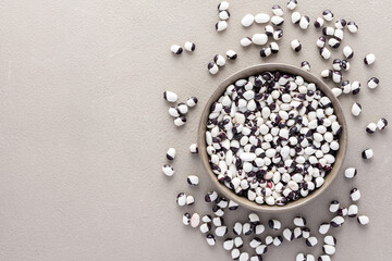 Legumes in bowl and scattered in the background, white and purple beans in a plate on a gray background, top view, copy space