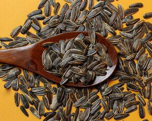 Kuaci made of sunflower seeds isolated on yellow background. How to process sunflower seeds removed from the flower, then soaked in lime water, then drain and dry. Focus blur. Quaci Mockup.