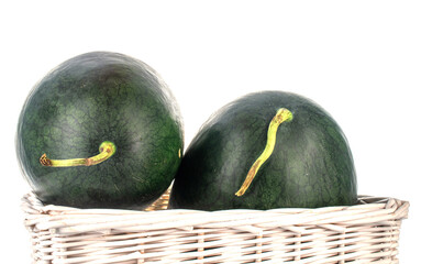 Two ripe dark green watermelons with a basket of vine, close-up, isolated on white.