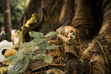 A small Buddha statue with a missing head was left by the side of the road.