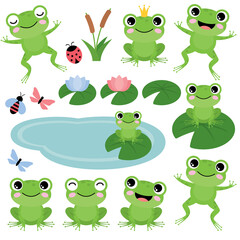 Green frogs on a white background