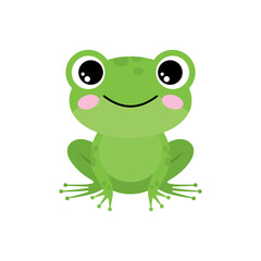 Green frog on a white background