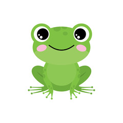 Green frog on a white background