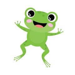 Green frog on a white background