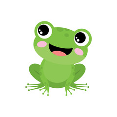 Green frog on a white background