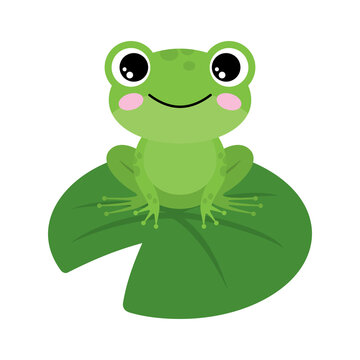 Green frog on a white background