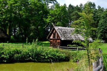 A close up on a wooden shack, hut, or house standing next to a small pond, lake, or swamp covered with shrubs, reeds and other flora seen on a sunny summer day near a dense forest or moor in Poland