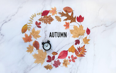 Autumn leaves and clock alarm on marble background. fall season concept. Autumn time symbol. flat lay