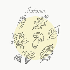 Autumn drawings. Set of hand drawn sketches: mushrooms, acorn and leaves. Doodle style. Isolated objects on a white background with a yellow circle and an inscription.