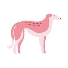 Isolated vector illustration of a Hound dog