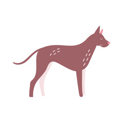 Isolated vector illustration of a Great Dane dog