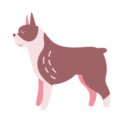 Isolated vector illustration of a Boston terrier dog