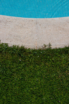 Tricolor, cesped, cemento, agua en el borde de una piscina